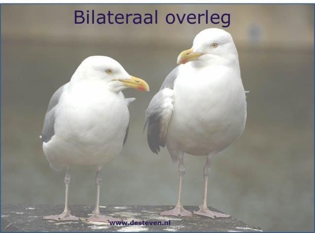 Bilateraal overleg of bila